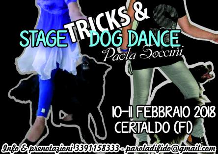 Stage di TRICKS & DOG DANCE