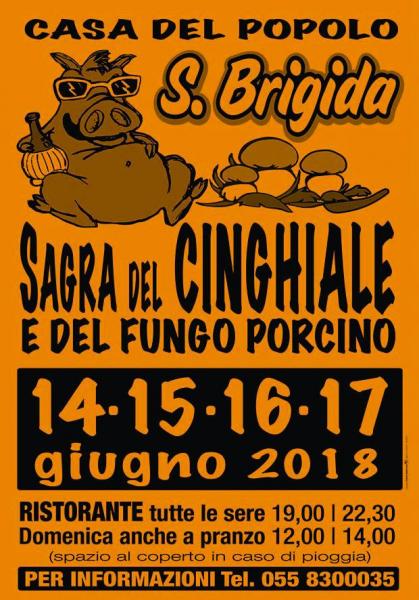 Sagra del cinghiale e del fungo porcino