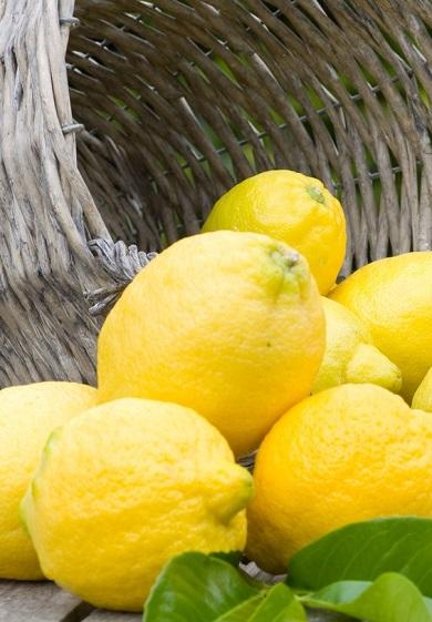 La granita artigianale del maestro Gianfrancesco Cutelli