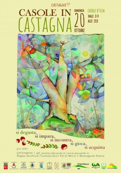CASOLE IN CASTAGNA