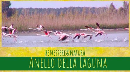 BENESSERE & NATURA-  ANELLO DELLA LAGUNA