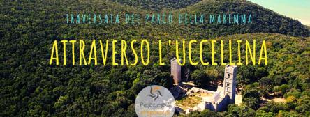 ATTRAVERSO IL PARCO MAREMMA: TRAVERSATA SAN RABANO-MARINA DI ALBERERESE