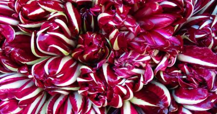 Sabato 25 Gennaio 2020 Cena del radicchio di Treviso