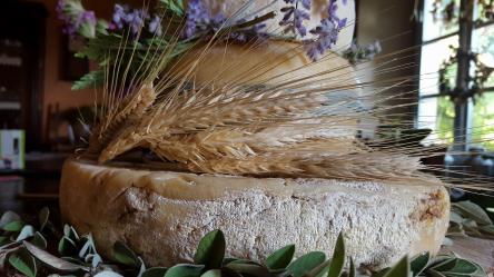 29 Febbraio 2020_Degustazione guidata dei Formaggi a latte ovino dell’Azienda “Al Carli” e Cena a te