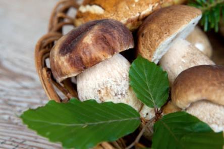 Sabato 25 Settembre 2021 ore 20,30 Cena d'autunno