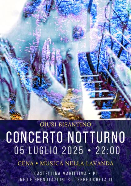 Concerto notturno al campo di lavanda