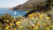 Trekking all'Isola del Giglio